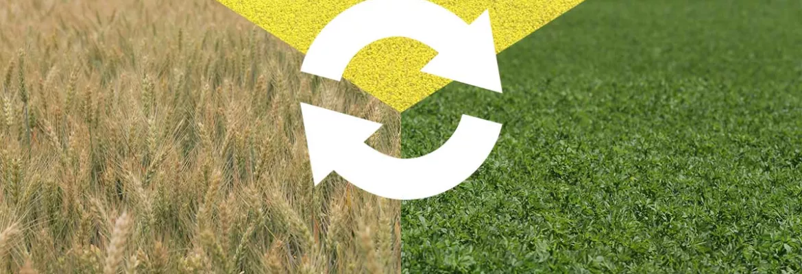 Cosa è la crop rotation