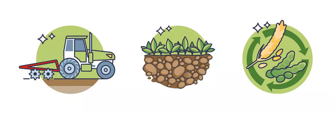 I 3 pilastri dell'agricoltura conservativa sono la riduzione della lavorazione del terreno, le colture di copertura e la rotazione delle colture