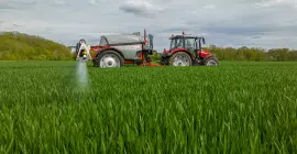 LEXIS 3800 al lavoro in un campo di grano