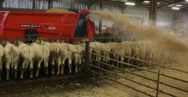 PRIMOR 15070 M in azione