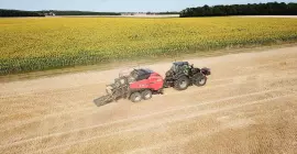 SB 1290 iD al lavoro