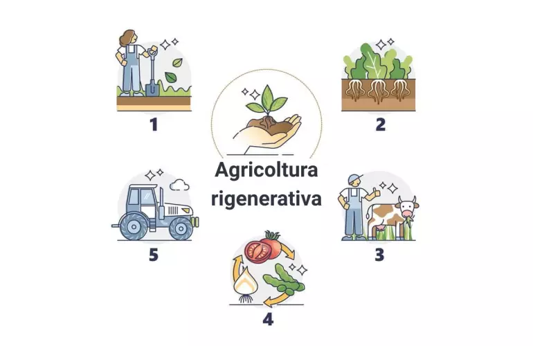 Schema dei 5 principi dell'agricoltura rigenerativa