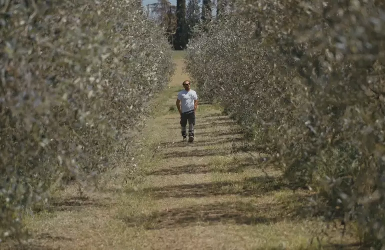 Testimonial Caccese nel vigneto