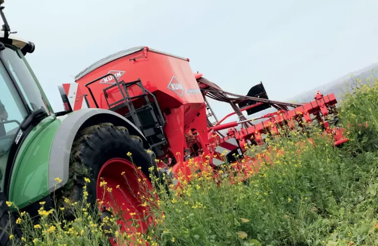 Semina in cover crop
