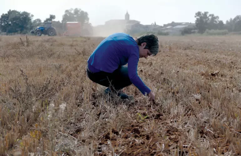 Test di campo e verifica