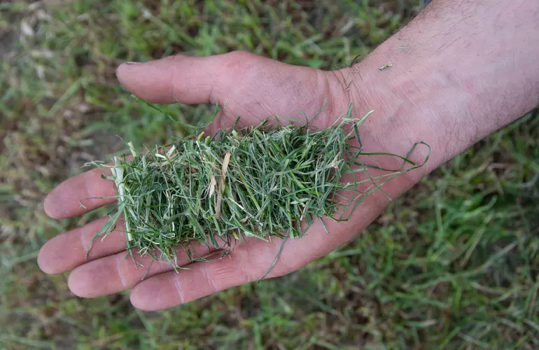 A fine cut for a next level bale