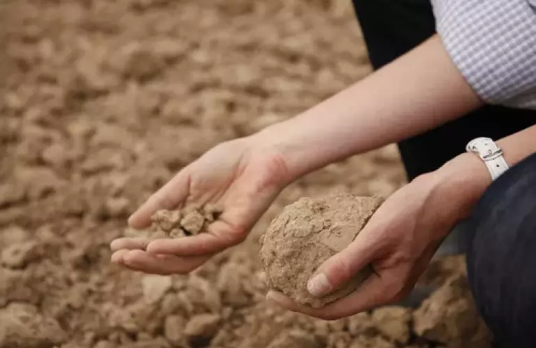 Coltivazione delle stoppie - Min Till