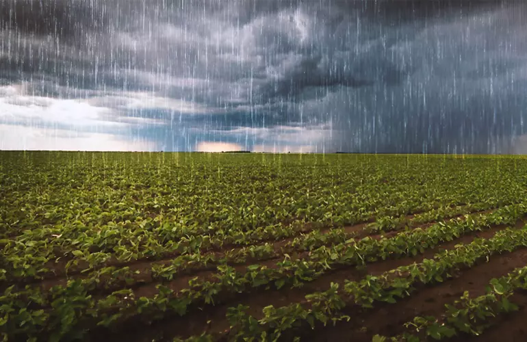 Condizioni di pioggia nitrati nell'acqua di drenaggio