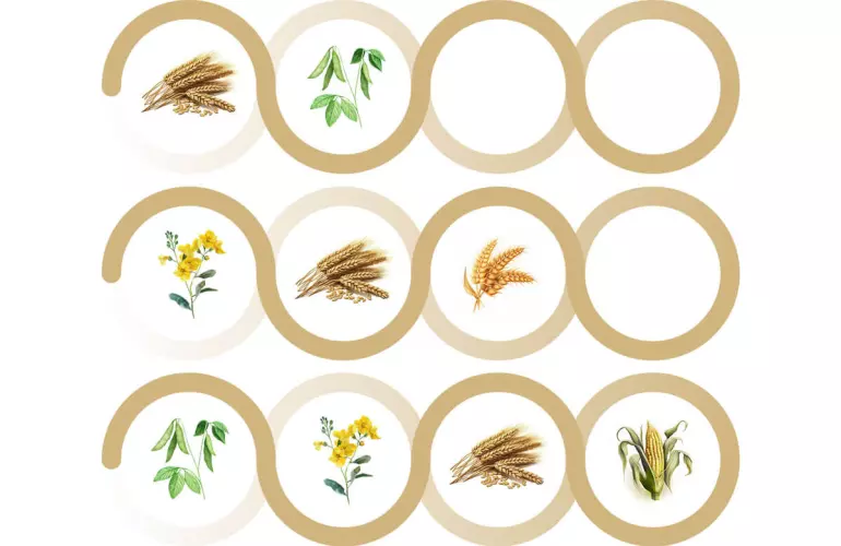 Esempi di rotazione delle colture per 2, 3 e 4 anni