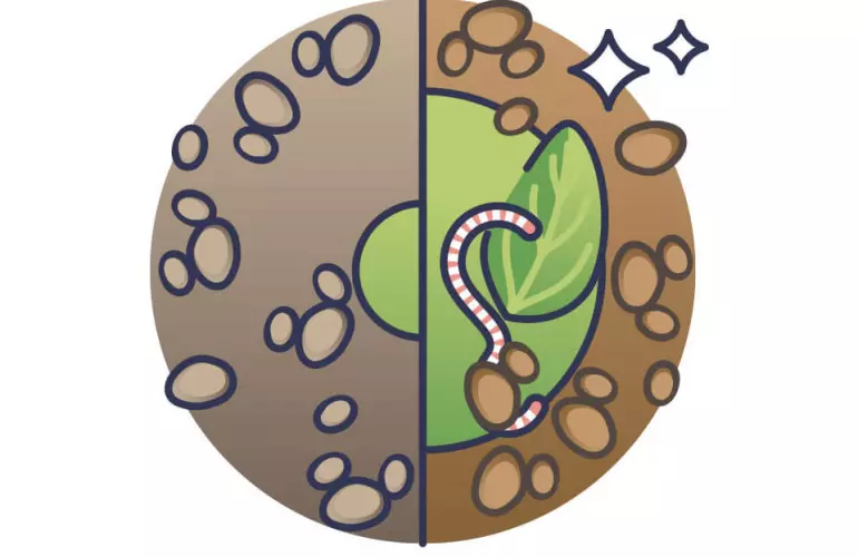 miglioramento della qualità del suolo con materia organica e lombrichi