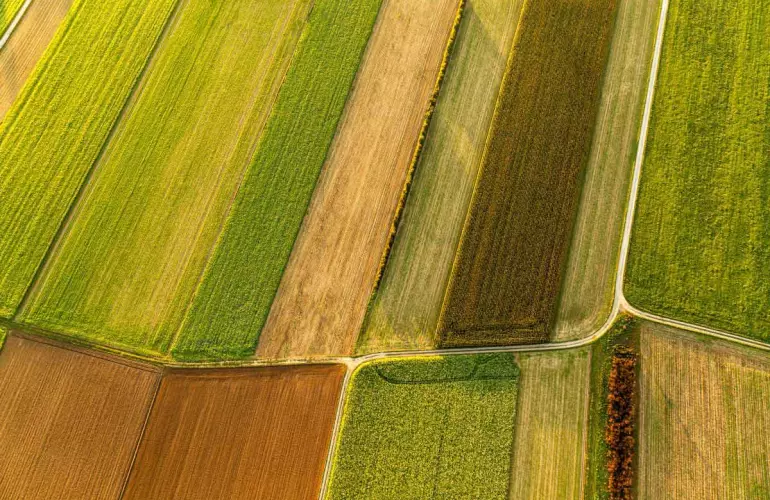 min till e cover-crop