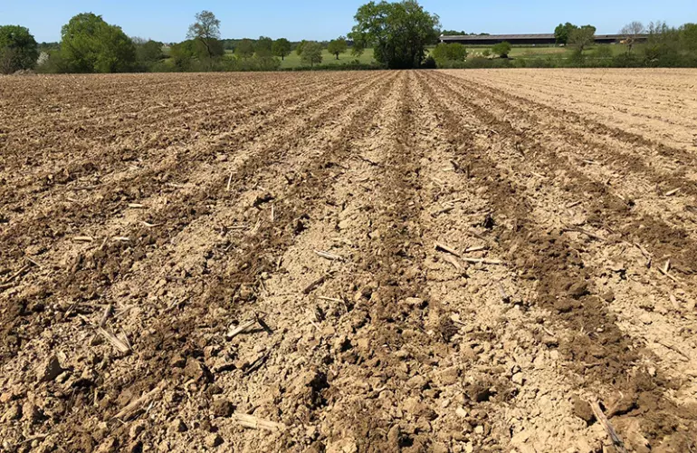 Le strip-till de printemps s’opère dans les terres légères à moyennes