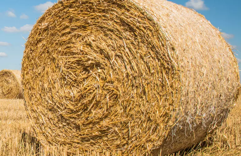 Il sistema PROGRESSIVE DENSITY PLUS garantisce una densità superiore nelle colture secche