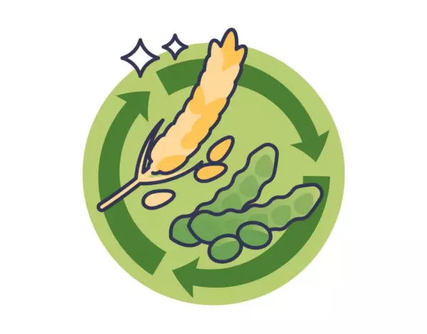 rotazione colture metodo agronomico chiave