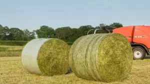 wraped bales