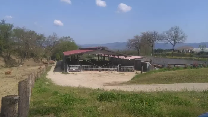 Borgioli_Azienda