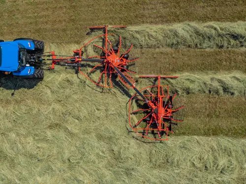 GA 6632 + in the field