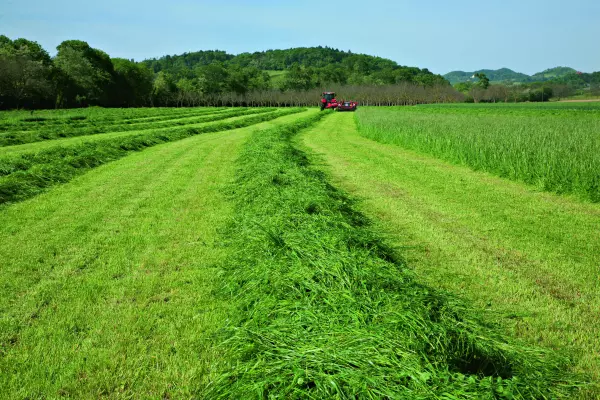 Protezione del terreno, anche ad alte velocità