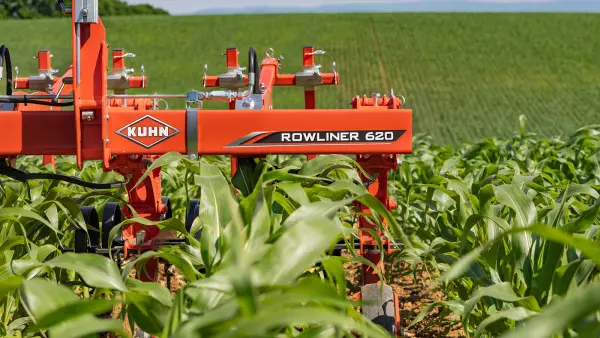 Foto della sarchiatrice ROWLINER nel mais allo stadio di 9 foglie