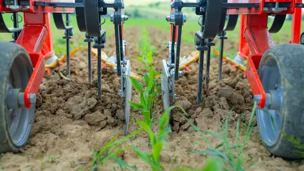 Foto dei deflettori protettivi della sarchiatrice ROWLINER