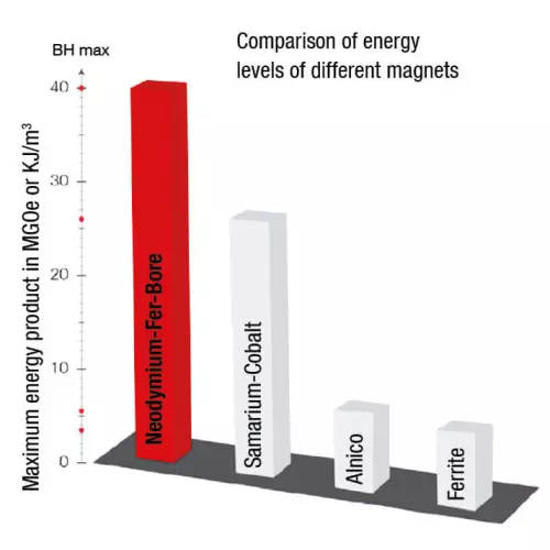 Calamite: per la salute dei vostri animali!