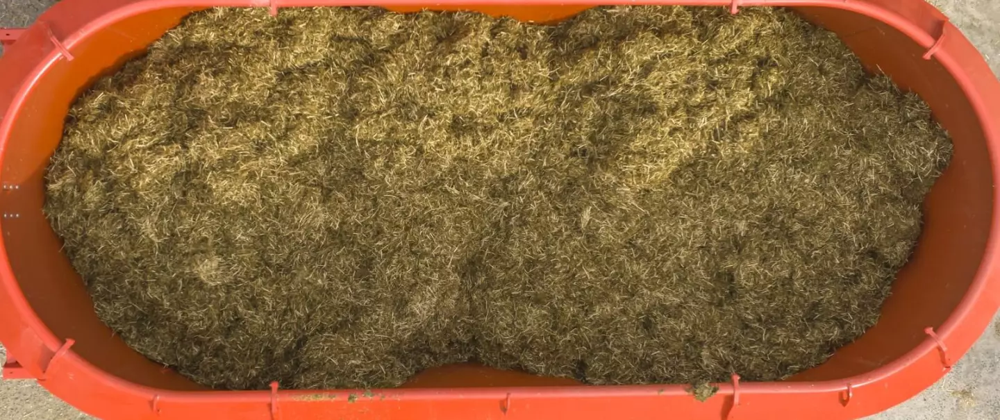 Miscela omogenea con due coclee verticali