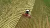 La sarchiatrice ROWLINER al lavoro in campo