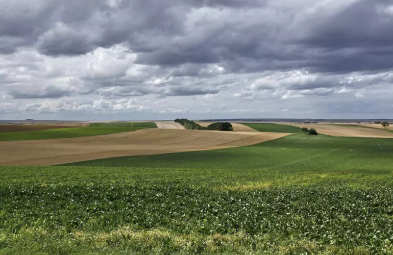 landscape with fields and grey sky